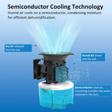 AROVEC Air Dehumidifier 900 ml Water Tank, AroDry-900